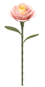 Light Pink Camellia