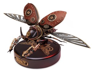 Rhinoceros Beetle
