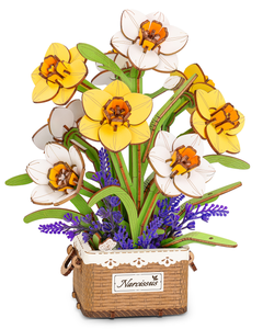 Narcissus