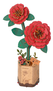 Red Camellia