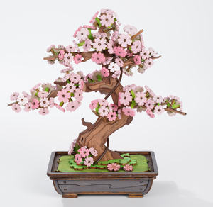 Sakura Bonsai