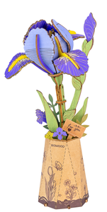 Purple Iris