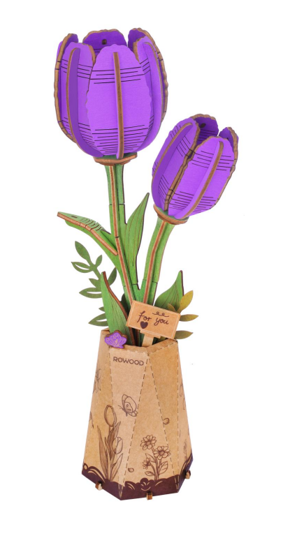 Purple Tulip